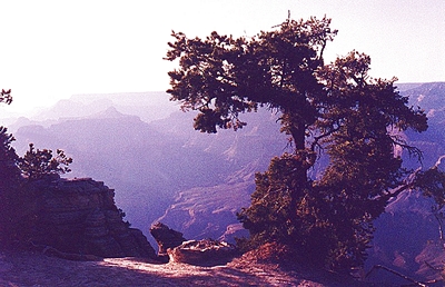 A Photo I took of the Grand Canyon